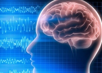 Электроэнцефалограмма (ЭЭГ) картинка из объявления