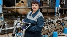 Доярка на ферму в объявлении 1 фото Доярка на ферму картинка из объявления