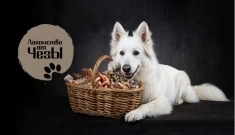 Лакомства для собак " От Чезы " в объявлении 3 фото Лакомства для собак " От Чезы " картинка из объявления