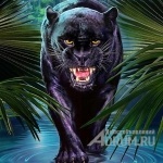 ЧЕРНАЯ МАГИЯ ЧЕРНОЕ ВЕНЧАНИЕ ОДНОПОЛЫЙ СЕКСУАЛЬНЫЙ ПОРЧИ СУЩНОСТИ картинка из объявления