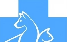 Ветеринарный врач визуальной диагностики (УЗИ) картинка из объявления