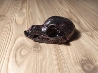 Череп собачий декорированный картинка из объявления