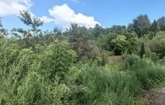 Продам участок 30 сот. картинка из объявления