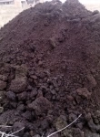 Земля с перегноем коровьим 1-2года Доставка Ярославль в объявлении 1 фото Земля с перегноем коровьим 1-2года Доставка Ярославль картинка из объявления