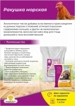 Ракушка морская кальциевая подкормка для кур, голубей и декоративных птиц 1кг в объявлении 1 фото Ракушка морская кальциевая подкормка для кур, голубей и декоративных птиц 1кг картинка из объявления