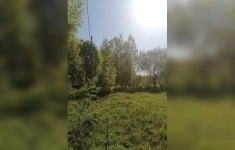 Продам коммерческую недвижимость 119.67 сот в объявлении 2 фото Продам коммерческую недвижимость 119.67 сот картинка из объявления