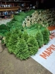 «Ёлочный Базар» - живые елки в Серпухове в объявлении 4 фото «Ёлочный Базар» - живые елки в Серпухове картинка из объявления