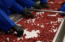 фасовка овощей картинка из объявления