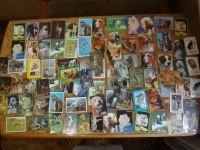 Календарики карманные разные в объявлении 7 фото Календарики карманные разные картинка из объявления