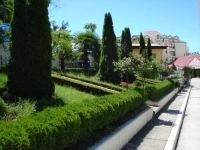 Алкогольная зависимость. Избыточный вес. картинка из объявления