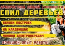 Спилить дерево в объявлении 1 фото Спилить дерево картинка из объявления