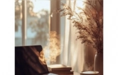 Начинающий риэлтор удаленно картинка из объявления