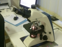 Ветеринарная лаборатория Бемби. в объявлении 3 фото Ветеринарная лаборатория Бемби. картинка из объявления