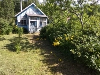 Псков картинка из объявления