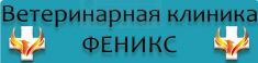 Срочная ветеринарная помощь КРУГЛОСУТОЧНО (24/7) картинка из объявления