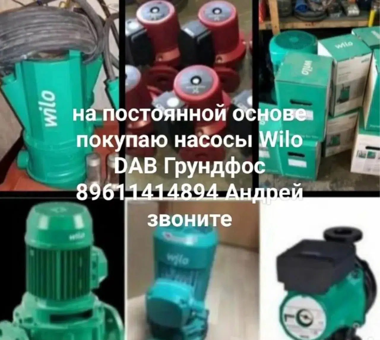 Мы покупаем Wilo насосы все модели,по выгодным ценам для Вас. Куплю Wilo насосы дорого. Работаем без выходных в объявлении 1 фото Мы покупаем Wilo насосы все модели,по выгодным ценам для Вас. Куплю Wilo насосы дорого. Работаем без выходных картинка из объявления