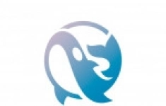 Переводчик картинка из объявления