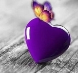 Книга Звезды и секс. Антология любви. Эротический гороскоп картинка из объявления