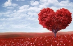 МОЩНОЕ МАГИЧЕСКОЕ ВОЗДЕЙСТВИЕ ПРИВОРОТ МАЙКОП в объявлении 1 фото МОЩНОЕ МАГИЧЕСКОЕ ВОЗДЕЙСТВИЕ ПРИВОРОТ МАЙКОП картинка из объявления