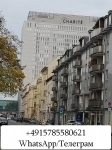 Лечение рака в Германии [Charite] картинка из объявления