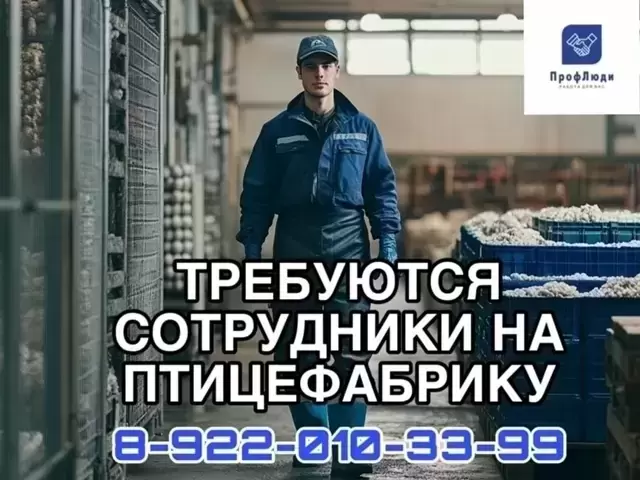 На птицефабрику требуются сотрудники в объявлении 1 фото На птицефабрику требуются сотрудники картинка из объявления