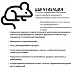 Служба дезинфекции «УМКа» - Дератизация уничтожение грызунов картинка из объявления