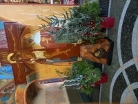 Целительство. Магия картинка из объявления