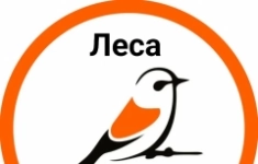 Маркетолог картинка из объявления