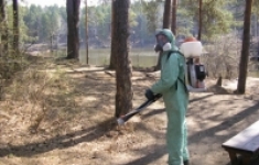 Обработка от клещей участков Александров картинка из объявления