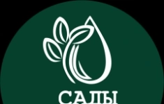 Менеджер по продажам в объявлении 1 фото Менеджер по продажам картинка из объявления
