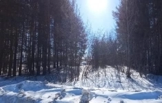 Продам участок 88 сот. в объявлении 2 фото Продам участок 88 сот. картинка из объявления