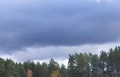 Продам дом 15 м2 в объявлении 10 фото Продам дом 15 м2 картинка из объявления