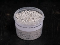 , купить растения в объявлении 1 фото , купить растения картинка из объявления