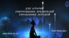 Уничтожение вредителей, насекомых. картинка из объявления