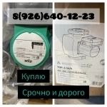Куплю насос Вило,Wilo срочно и дорого все модели за наличные в объявлении 1 фото Куплю насос Вило,Wilo срочно и дорого все модели за наличные картинка из объявления