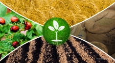 Покупаем Минеральные удобрения картинка из объявления