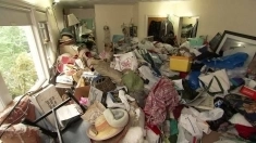 Вывоз мусора, старой мебели 89537774476 картинка из объявления