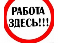 Собиратель в архив в объявлении 1 фото Собиратель в архив картинка из объявления