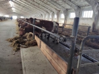 Защитное Полимерное покрытие для кормового стола в объявлении 1 фото Защитное Полимерное покрытие для кормового стола картинка из объявления