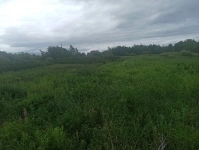 Продам 10 соток по Салаирскому тракту СНТ Строитель в объявлении 8 фото Продам 10 соток по Салаирскому тракту СНТ Строитель картинка из объявления