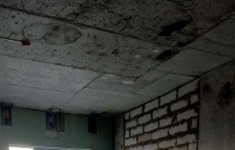 Продам 1 комнатную квартиру 46.2 м2 в объявлении 10 фото Продам 1 комнатную квартиру 46.2 м2 картинка из объявления