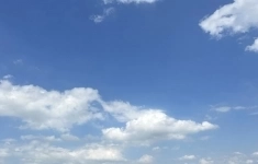 Продам участок 13 сот. в объявлении 6 фото Продам участок 13 сот. картинка из объявления