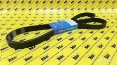 Ремень OEM L153281 картинка из объявления