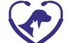 Ветеринарный врач (г. Альметьевск) картинка из объявления