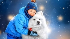 Упаковщица / Фасовщица без опыта в г. Ефремов картинка из объявления