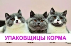 Упаковщица / Фасовщица без опыта / Работа с жильем и авансами картинка из объявления