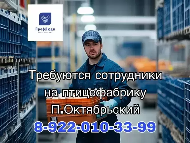 На птицефабрику требуются сотрудники. картинка из объявления