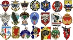 Знаки парашютистов Франции картинка из объявления