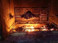 Электро-вертел для печки в объявлении 7 фото Электро-вертел для печки картинка из объявления