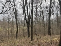 Прилесной участок с потрясающей природой картинка из объявления